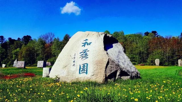 《大江大河3》杨巡搞促销赚了三千多万，为什么对外要宣布亏损？